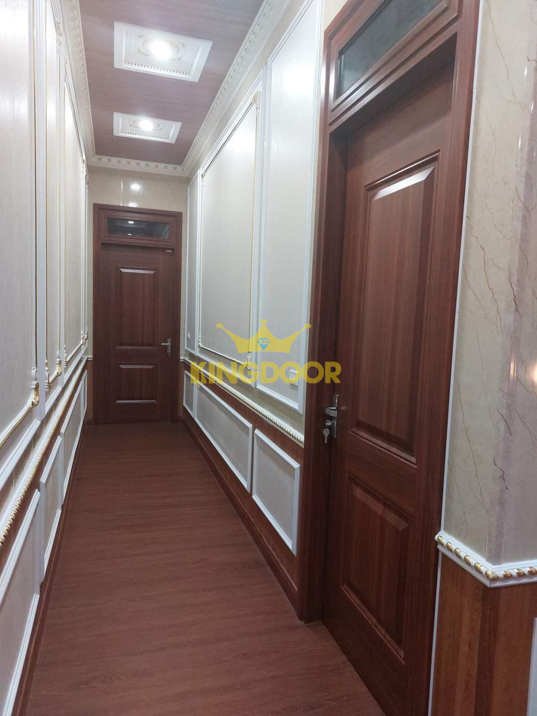 Cửa Thép Vân Gỗ Tại Bạc Liêu Cửa Thép Vân Gỗ Tại Bạc Liêu